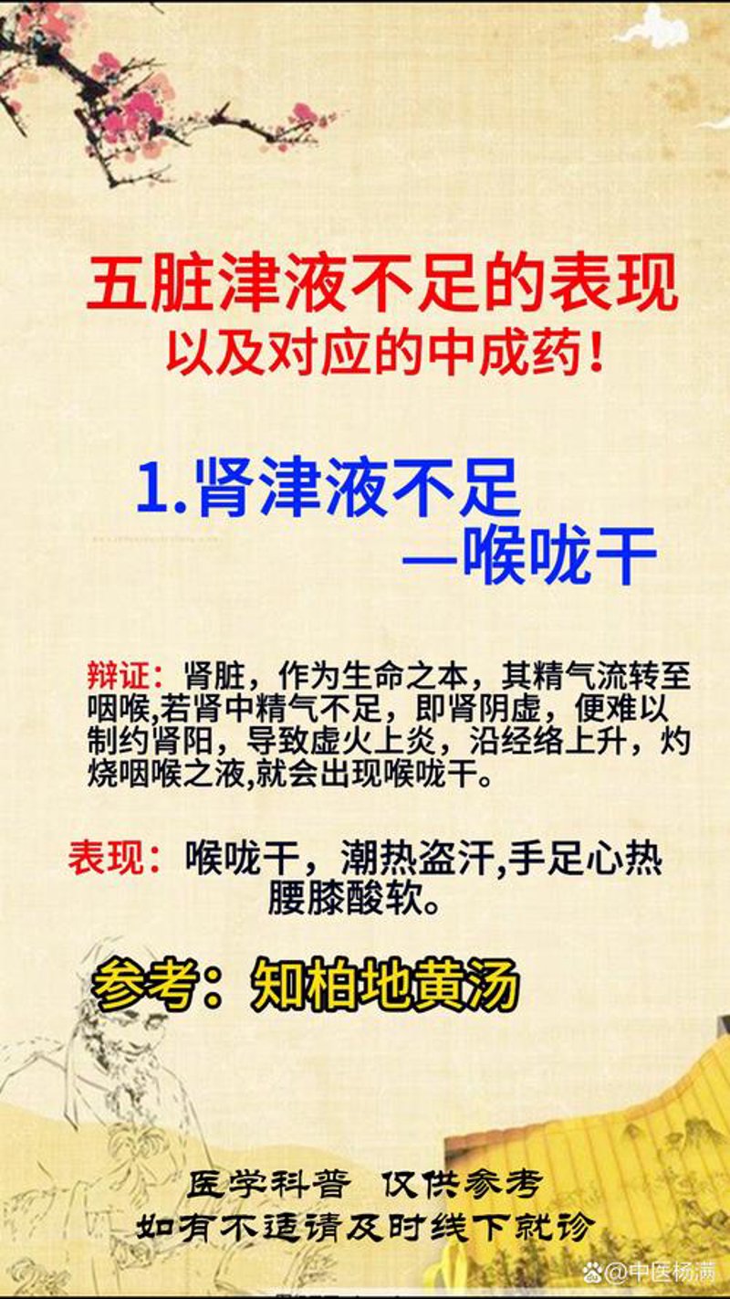 中医媒体服务：让传统智慧触达更多人心